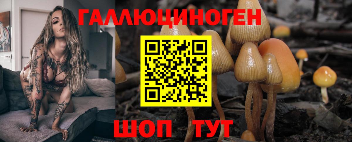 Псилоцибиновые грибы прущие грибы  Вход с VPN  Магнитогорск  Псилоцибиновые грибы прущие грибы 